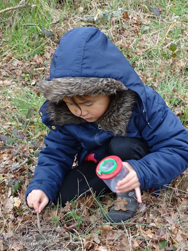 Nature Kiwi Naturekiwi Verdon balade découverte sortie enfant adulte animation nature éducation à l'environnement chamois vautours famille crépuscule faune flore patrimoine local