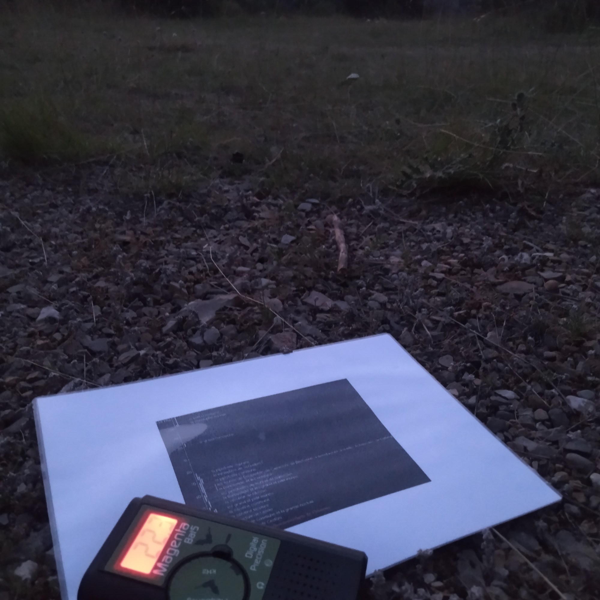 Nature Kiwi Naturekiwi Verdon balade découverte sortie enfant adulte animation nature éducation à l'environnement chamois vautours famille crépuscule faune flore patrimoine local