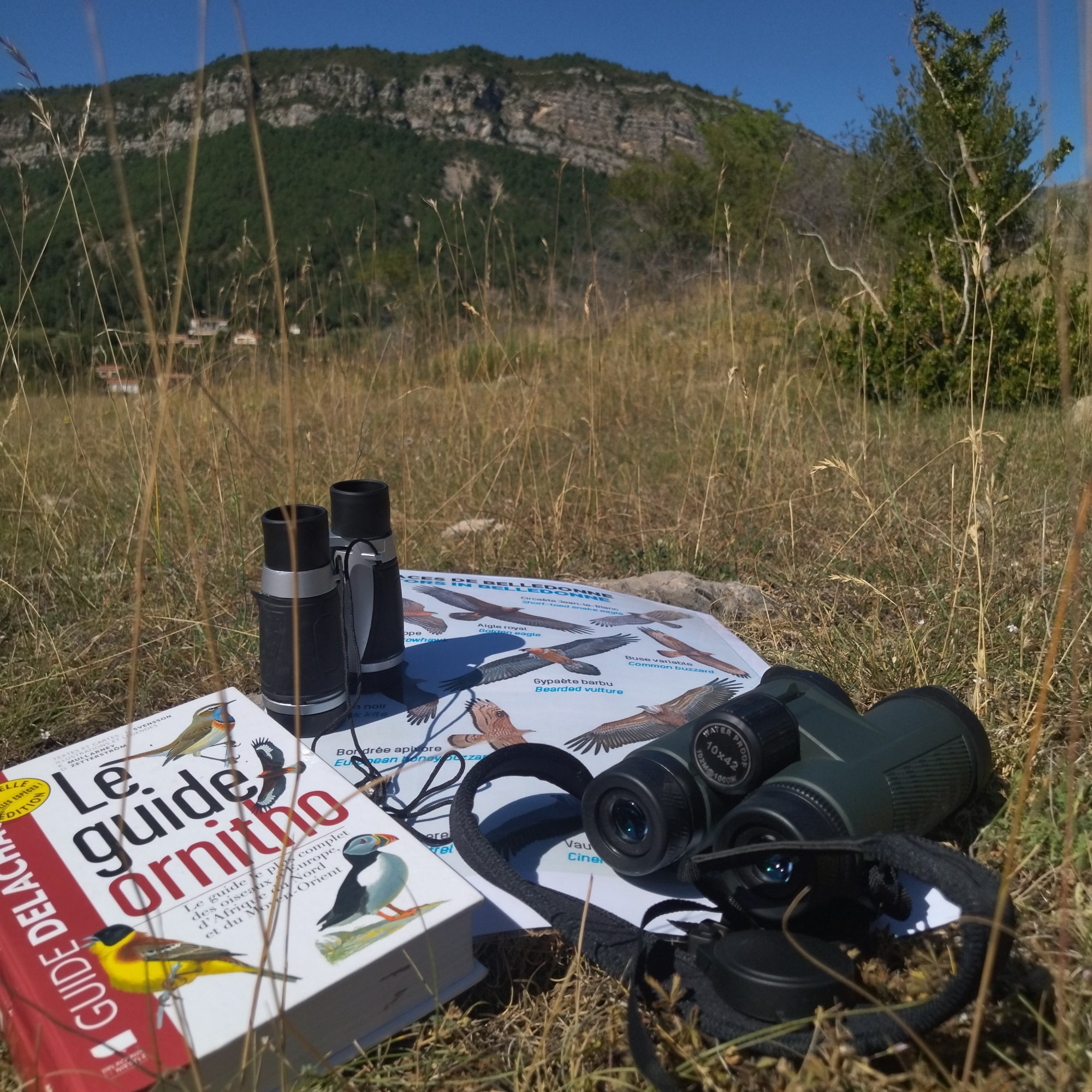 Nature Kiwi Naturekiwi Verdon balade découverte sortie enfant adulte animation nature éducation à l'environnement chamois vautours famille crépuscule faune flore patrimoine local