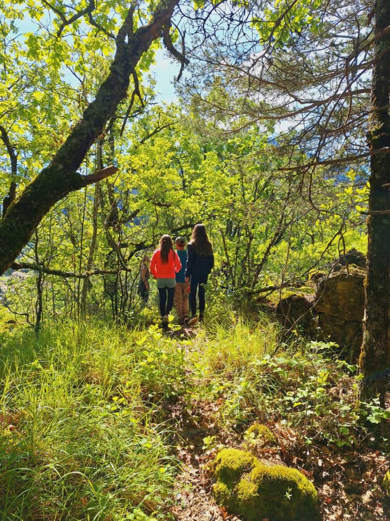 Nature Kiwi Naturekiwi Verdon balade découverte sortie enfant adulte animation nature éducation à l'environnement chamois vautours famille crépuscule faune flore patrimoine local parc naturel régional du verdon