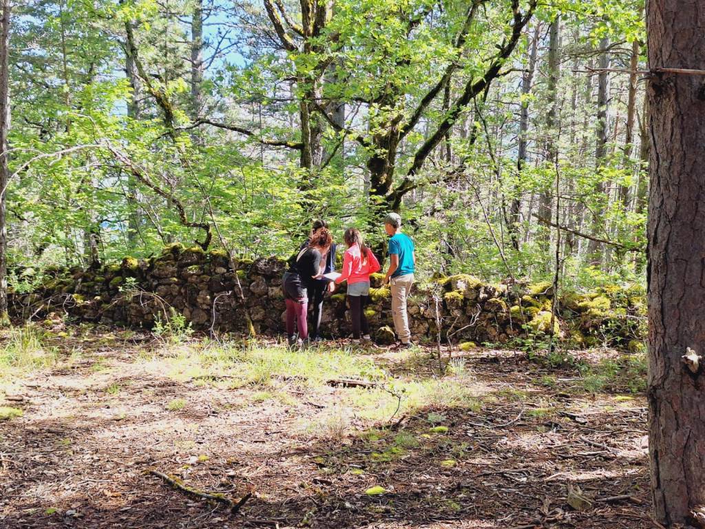 Nature Kiwi Naturekiwi Verdon balade découverte sortie enfant adulte animation nature éducation à l'environnement chamois vautours famille crépuscule faune flore patrimoine local