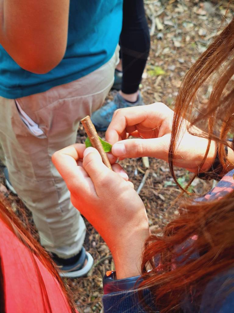 Nature Kiwi Naturekiwi Verdon balade découverte sortie enfant adulte animation nature éducation à l'environnement chamois vautours famille crépuscule faune flore patrimoine local